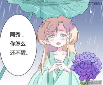 早期西欧的政治为何难成体系—以中世纪早期的西欧为政治格局为例